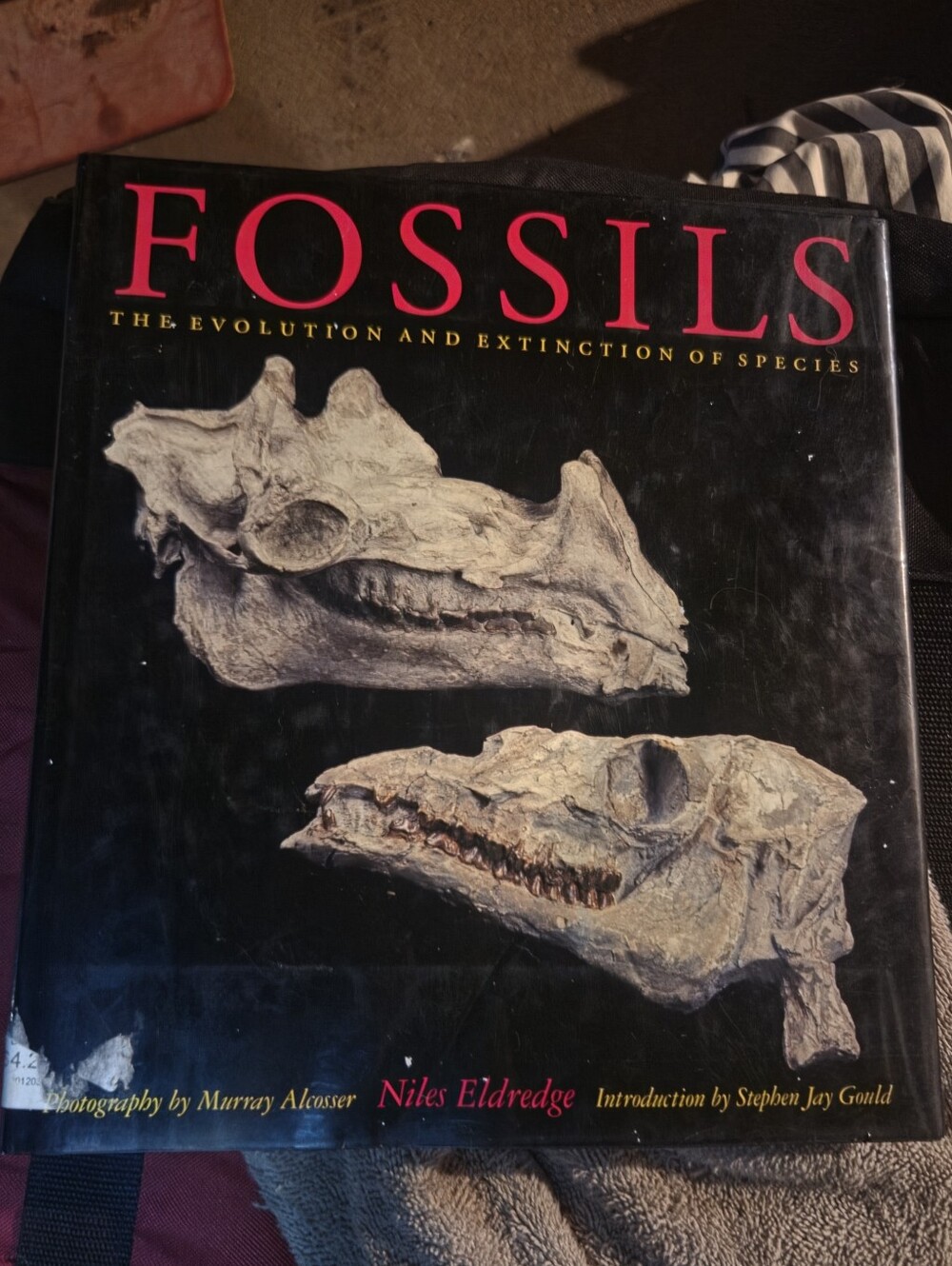 Fossils: The Evolution and Extinction of Species by Niles Eldredge